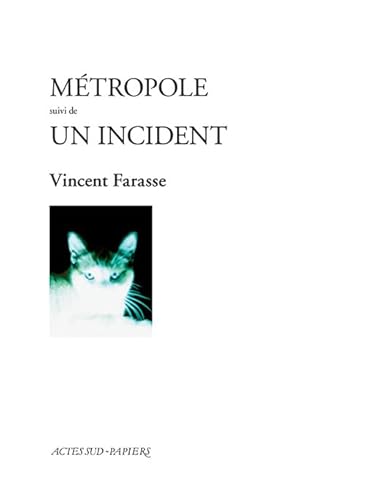 Métropole suivi de Un incident von Actes Sud