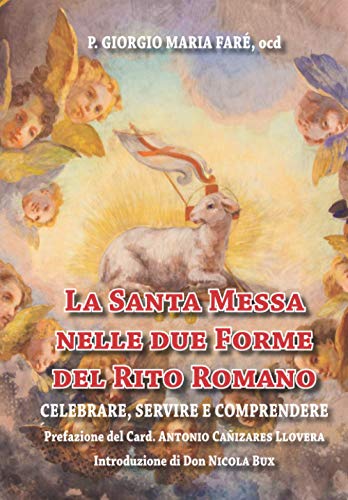 La Santa Messa nelle due Forme del Rito Romano: Celebrare - Servire - Comprendere von Streetlib