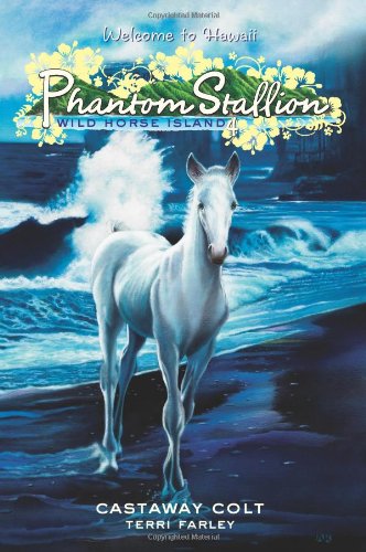 Phantom Stallion: Wild Horse Island #4: Castaway Colt von HarperCollins