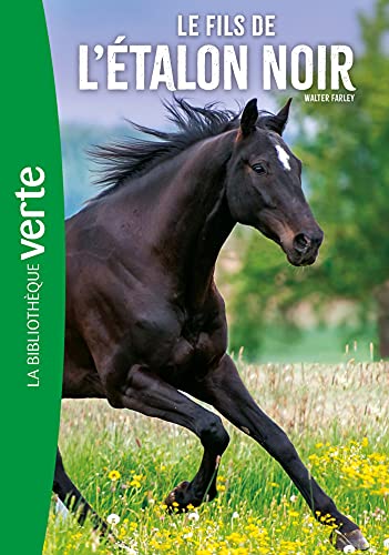 L'Etalon Noir 04 NED - Le Fils de l'Etalon Noir von HACHETTE JEUN.