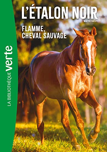 L'Etalon Noir NED 10 - Flamme cheval sauvage von HACHETTE JEUN.