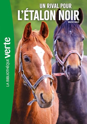 L'Etalon noir 14 NED - Un rival pour l'étalon noir von HACHETTE JEUN.