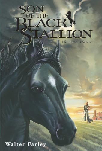 Son of the Black Stallion Son of the Black Stallion