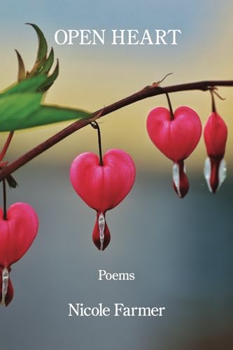 Open Heart Open Heart von Kelsay Books