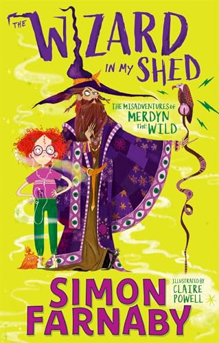 The Wizard In My Shed: The Misadventures of Merdyn the Wild von Hachette Children's Book