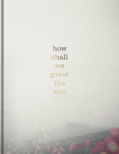 How shall we greet the sun von Lecturis