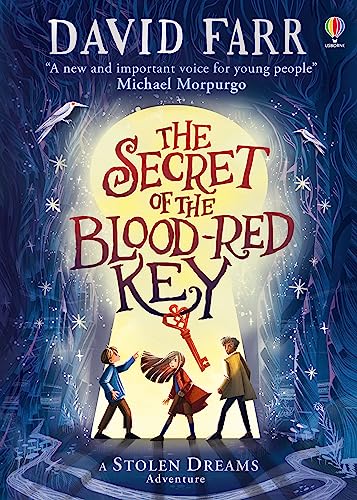 The Secret of the Blood-Red Key (The Stolen Dreams Adventures) von Usborne Publishing Ltd