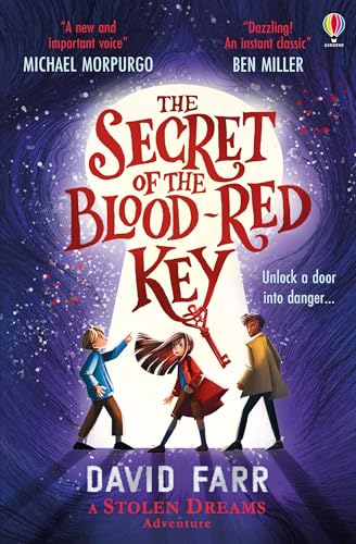 The Secret of the Blood-Red Key (The Stolen Dreams Adventures) von Usborne Publishing