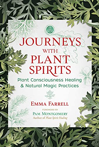 Journeys with Plant Spirits: Plant Consciousness Healing and Natural Magic Practices von Bear & Company