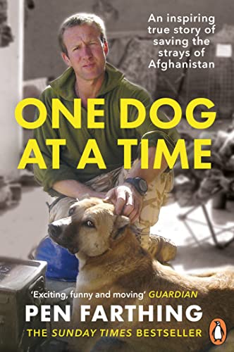 One Dog at a Time: An inspiring true story of saving the strays of Afghanistan