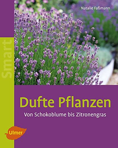 Dufte Pflanzen: Von Schokoblume bis Zitronengras