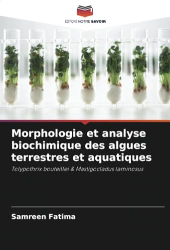 Morphologie et analyse biochimique des algues terrestres et aquatiques: Tolypothrix bouteillei & Mastigocladus laminosus von Editions Notre Savoir