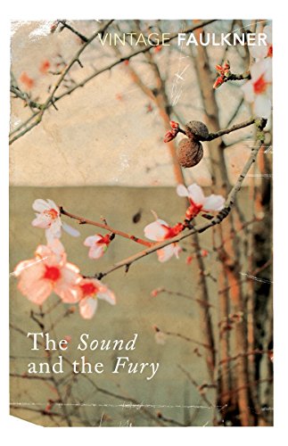 The Sound and the Fury: With an introduction by Richard Hughes (Vintage classics) von Vintage Classics