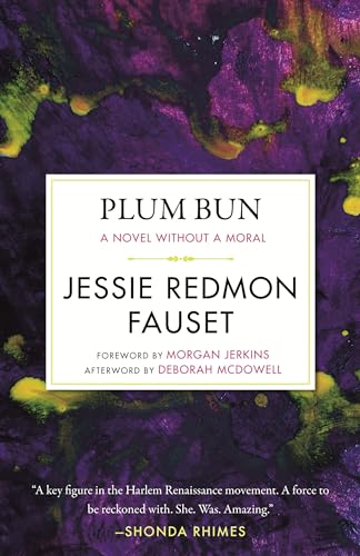 Plum Bun: A Novel without a Moral (Celebrating Black Women Writers, Band 7) von Beacon Press