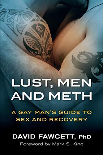 Lust, Men, and Meth: A Gay Man's Guide to Sex and Recovery von S FL Center for Counseling and Therapy, Inc.