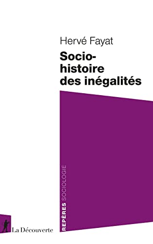 Socio-histoire des inégalités von LA DECOUVERTE