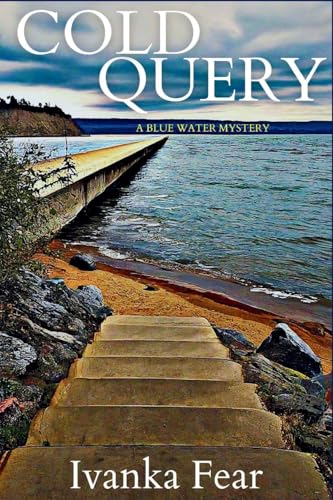 Cold Query: A Blue Water Mystery von Level Best Books