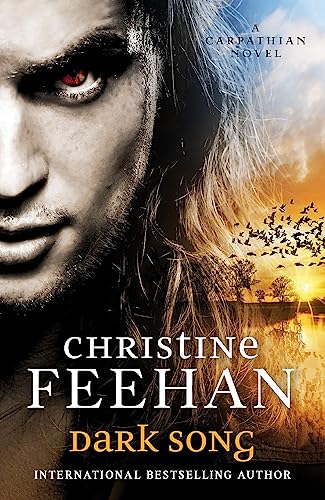 Dark Song (Dark Carpathian) von Hachette