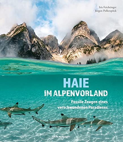Haie im Alpenvorland: Fossile Zeugen eines verschwundenen Paradieses von Verlag Anton Pustet Salzburg