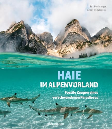 Haie im Alpenvorland: Fossile Zeugen eines verschwundenen Paradieses