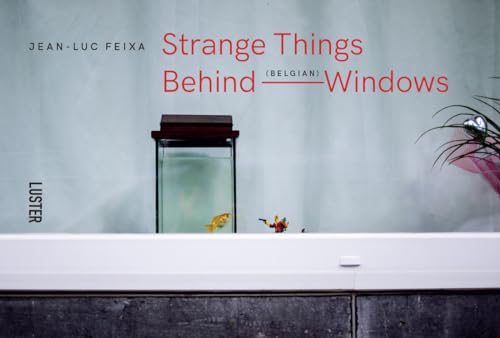 Strange Things Behind Belgian Windows