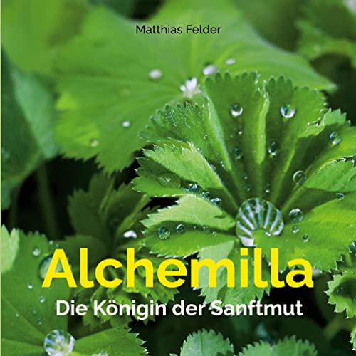 Alchemilla: Die Königin der Sanftmut Alchemilla: Die Königin der Sanftmut