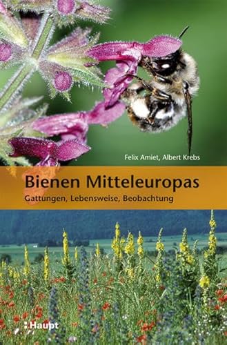 Bienen Mitteleuropas: Gattungen, Lebensweise, Beobachtung