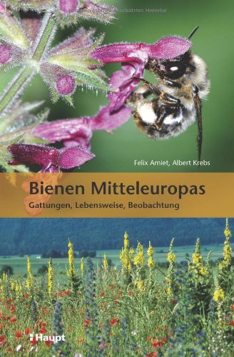 Bienen Mitteleuropas: Gattungen, Lebensweise, Beobachtung