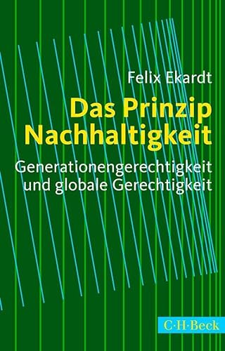Das Prinzip Nachhaltigkeit: Generationengerechtigkeit und globale Gerechtigkeit (Beck Paperback)
