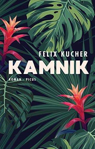 Kamnik: Roman