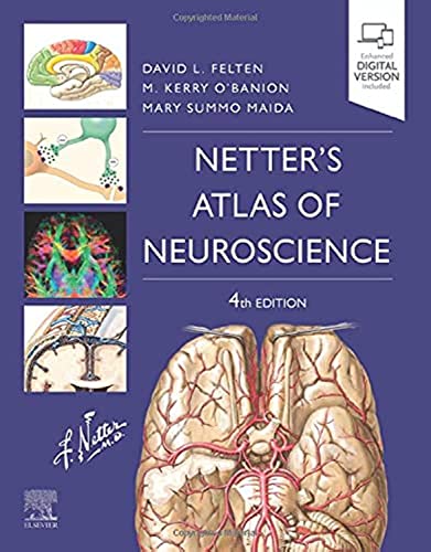 Netter's Atlas of Neuroscience (Netter Basic Science) von Elsevier