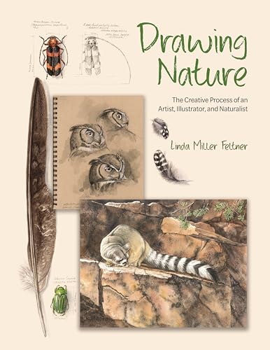Drawing Nature: The Creative Process of an Artist, Illustrator, and Naturalist von Princeton University Press