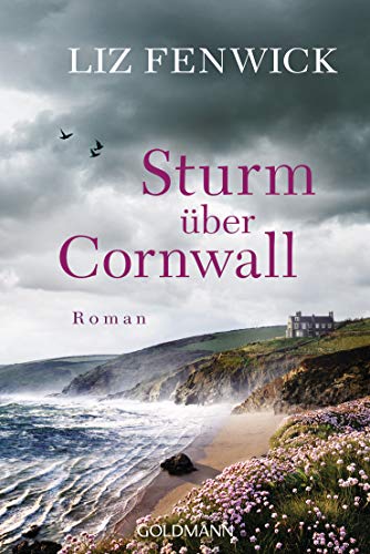 Sturm über Cornwall: Roman von Goldmann
