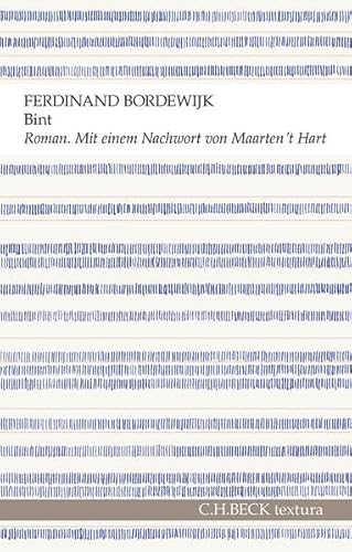 Bint: Roman eines Senders (textura)