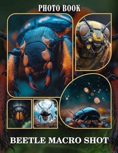 Beetle Macro Shot Photo Book: Incredible Close-Up Images Of Beetles Capturing Nature’s Details And Colors von Independently published