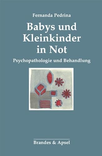 Babys und Kleinkinder in Not: Psychopathologie und Behandlung