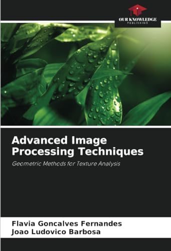 Advanced Image Processing Techniques: Geometric Methods for Texture Analysis von Our Knowledge Publishing