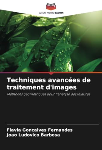 Techniques avancées de traitement d'images: Méthodes géométriques pour l'analyse des textures von Editions Notre Savoir