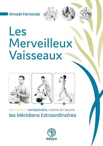 Les merveilleux Vaisseaux : rencontrer, comprendre, mettre en oeuvre les Méridiens Extraordinaires von EDOYA