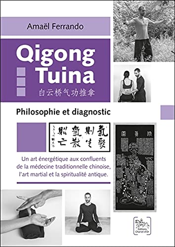 Qigong Tuina Tome 3 - Philosophie et diagnostic von CHARIOT D OR