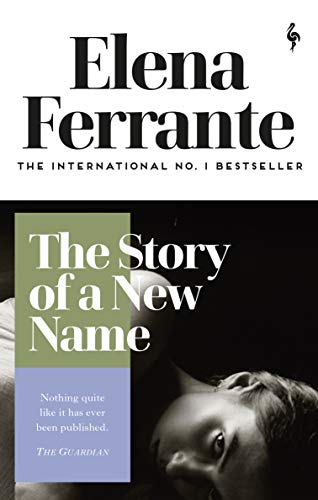 The Story of a New Name: Book Two: Youth (Neapolitan Quartet) von Europa Editions UK Ltd