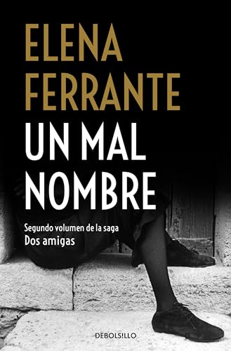 Un mal nombre / The Story of a New Name (Dos Amigas / Neapolitan Novels, Band 2)