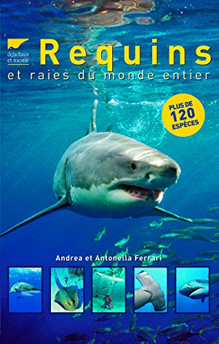 Requins et raies du monde entier von DELACHAUX et NIESTLE