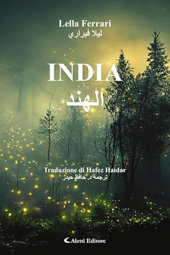 India (Altre frontiere) von Aletti editore