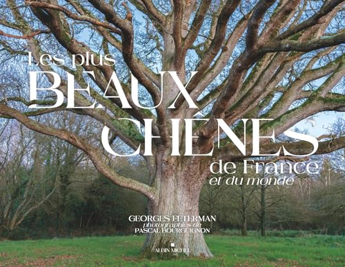Les Plus Beaux Chênes de France et du monde von ALBIN MICHEL