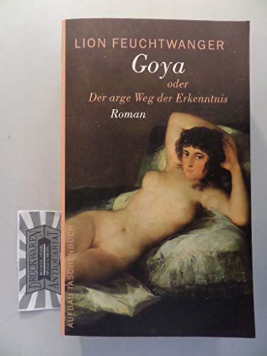 Goya oder Der arge Weg der Erkenntnis: Roman