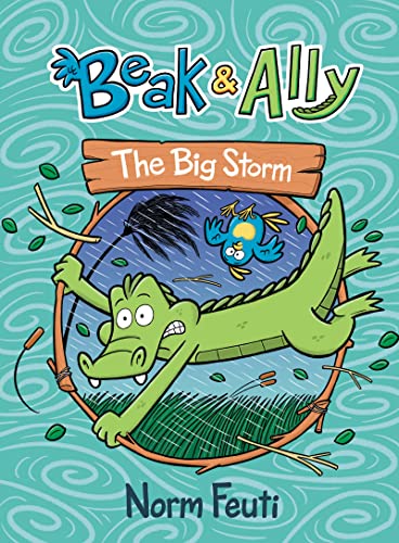 Beak & Ally #3: The Big Storm von HarperAlley