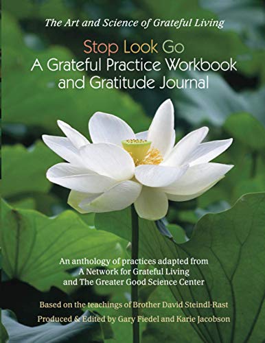 Stop Look Go: A Grateful Practice Workbook and Gratitude JournalA Grateful Practice von Ingramcontent