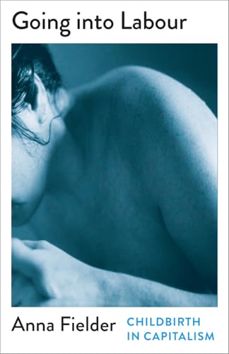 Going Into Labour: Childbirth In Capitalism (Mapping Social Reproduction Theory) von Pluto Press
