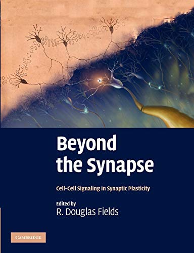Beyond the Synapse: Cell-Cell Signaling In Synaptic Plasticity